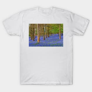 Bluebell Woods Greys Court Oxfordshire England UK T-Shirt